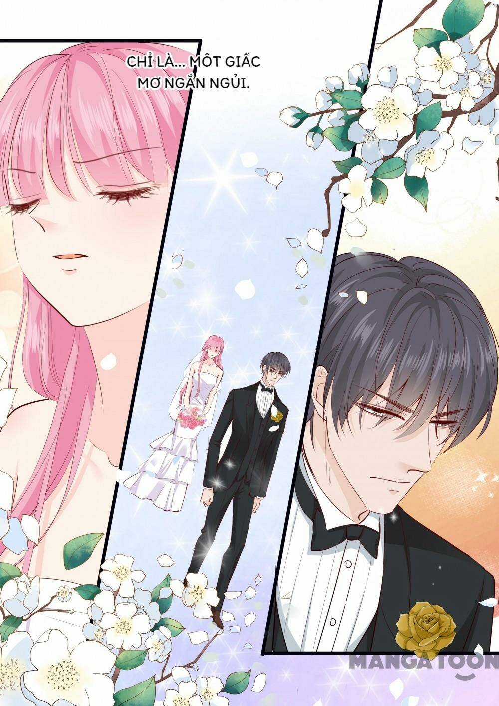 Đế Thiếu Đừng Mạnh Quá - Chapter 272 - Trang 3