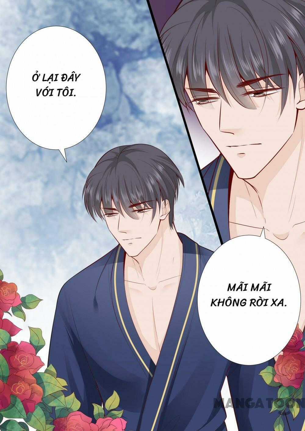 Đế Thiếu Đừng Mạnh Quá - Chapter 274 - Trang 8