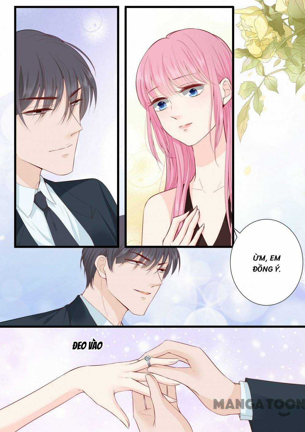 Đế Thiếu Đừng Mạnh Quá - Chapter 316 - Trang 3