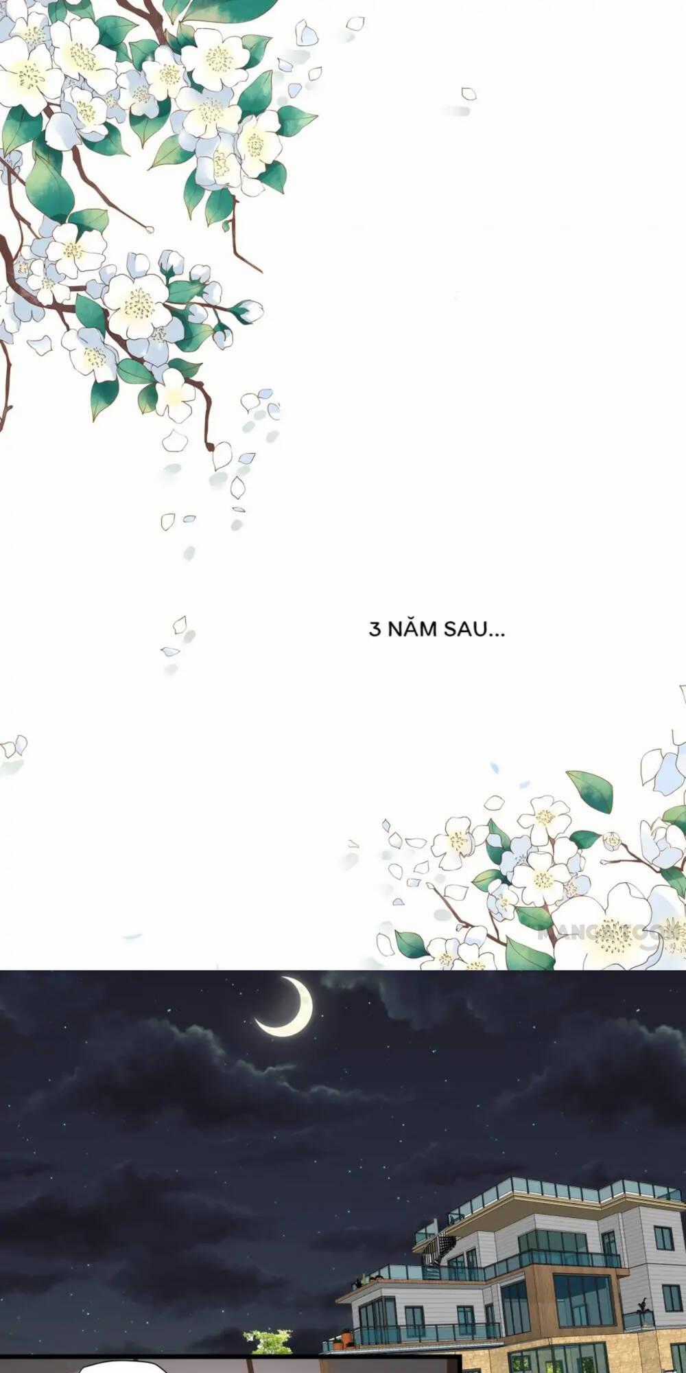 Đế Thiếu Đừng Mạnh Quá - Chapter 334 - Trang 1