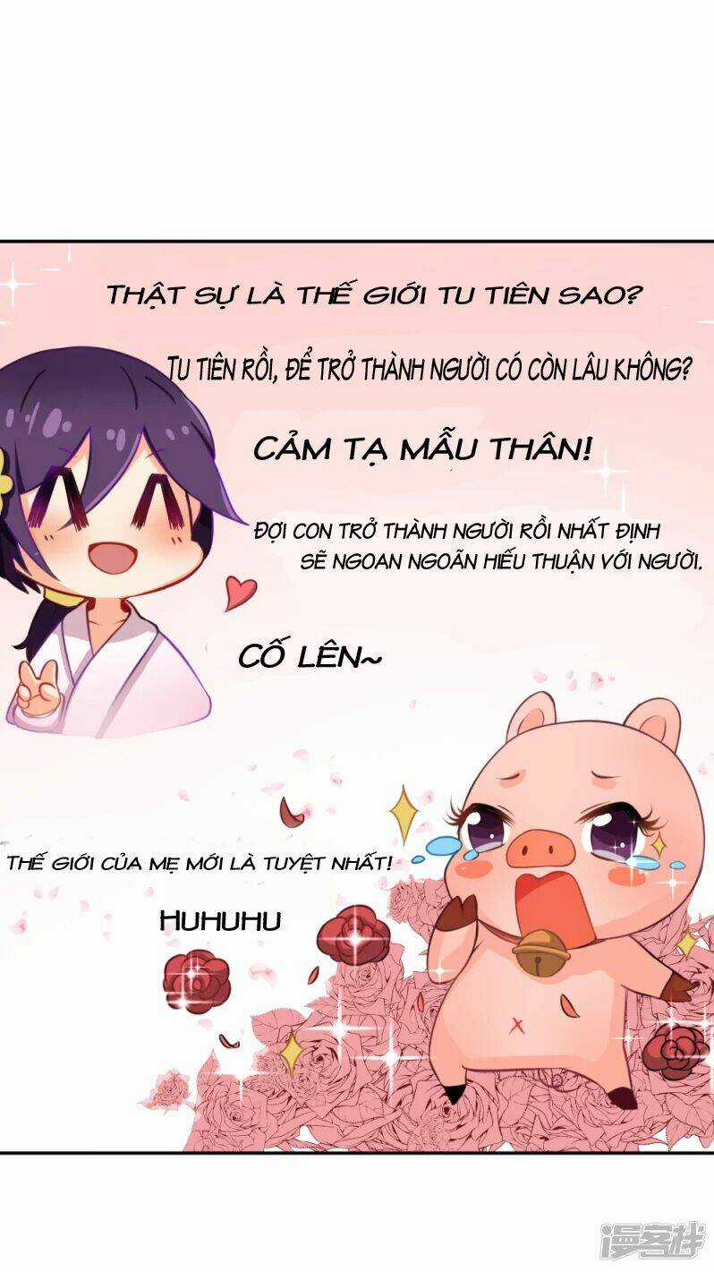 Đệ Tử Của Ta Là Heo - Chapter 2 - Trang 4