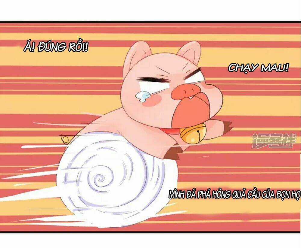 Đệ Tử Của Ta Là Heo - Chapter 3 - Trang 25