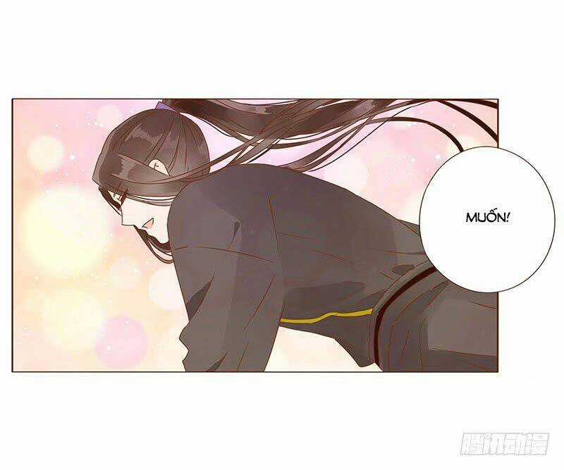 Đế Vương Trắc - Chapter 120 - Trang 53