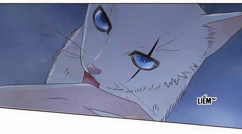 Đế Vương Trắc - Chapter 150 - Trang 12