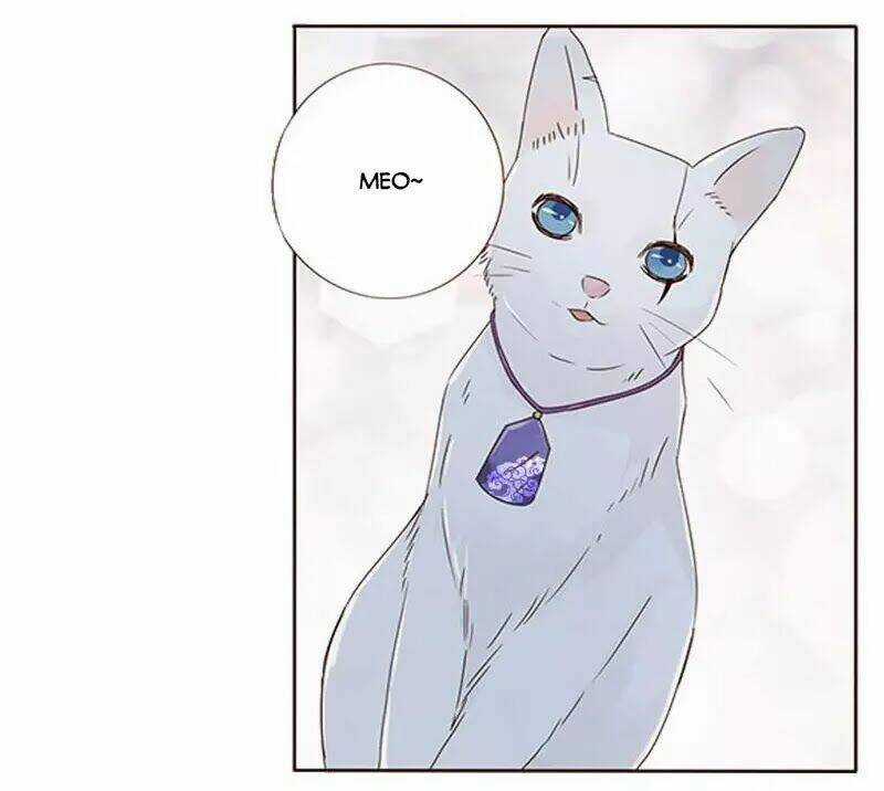 Đế Vương Trắc - Chapter 150 - Trang 15