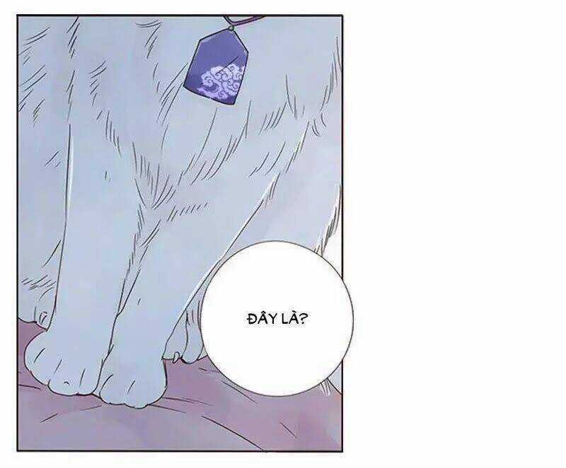 Đế Vương Trắc - Chapter 150 - Trang 16