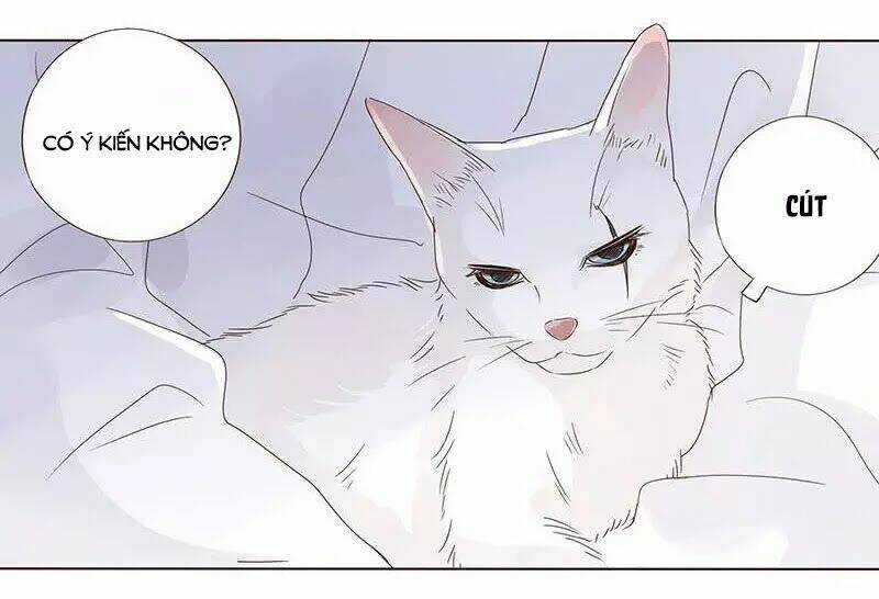 Đế Vương Trắc - Chapter 150 - Trang 28