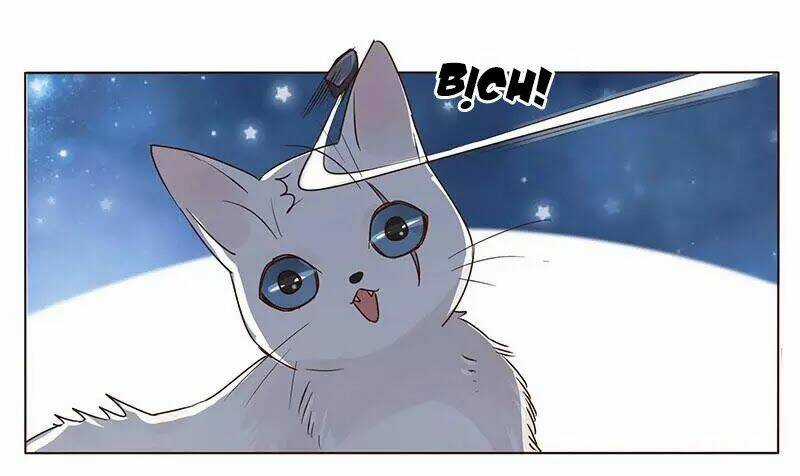 Đế Vương Trắc - Chapter 152 - Trang 14