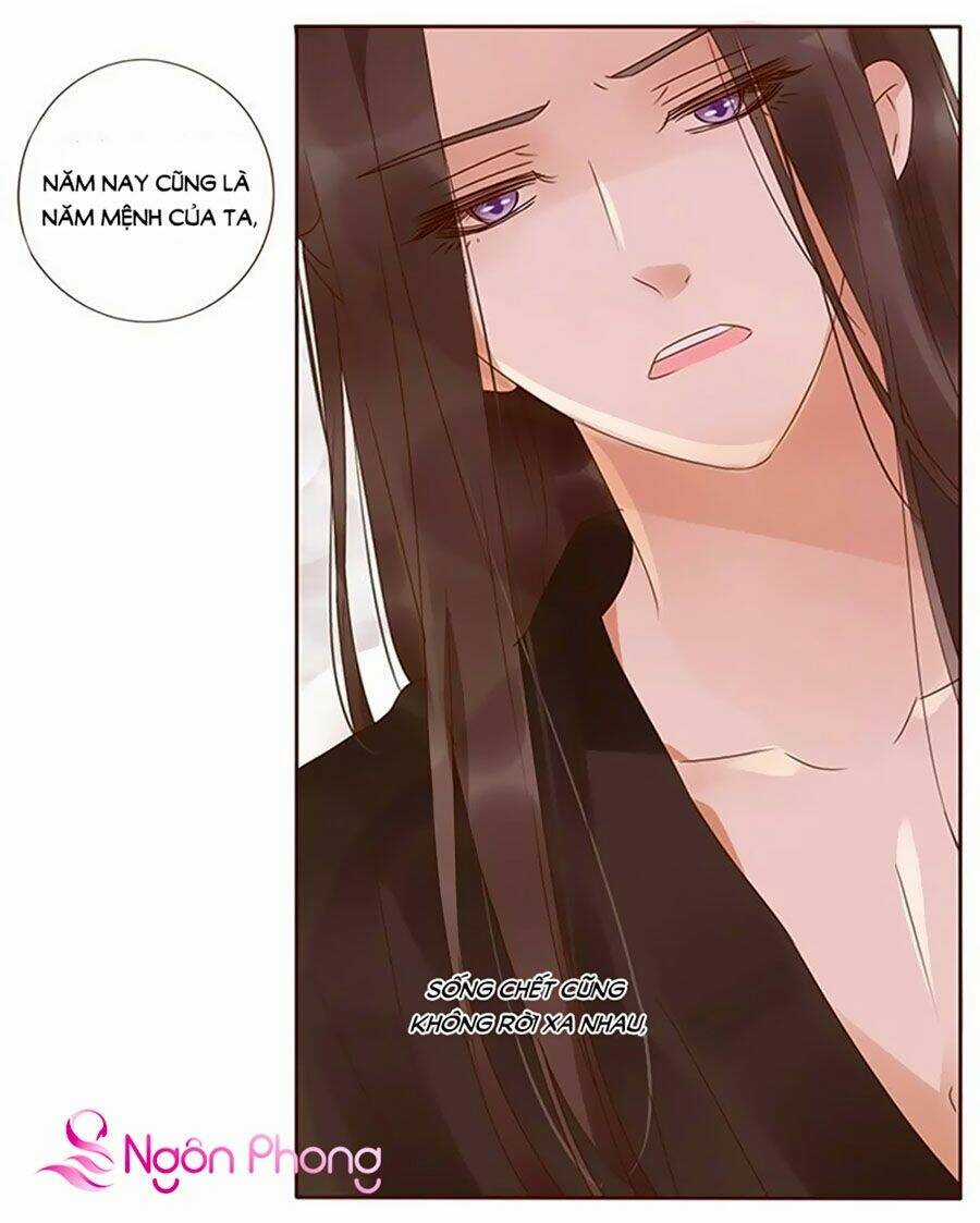 Đế Vương Trắc - Chapter 178 - Trang 18