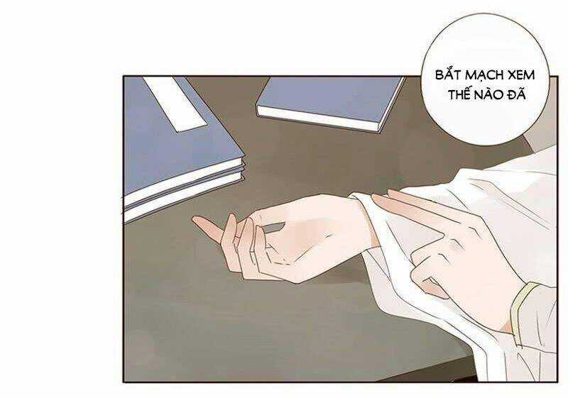 Đế Vương Trắc - Chapter 181 - Trang 13