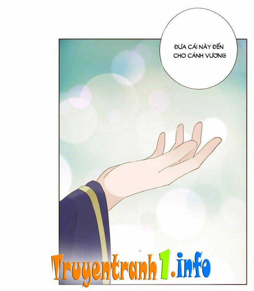 Đế Vương Trắc - Chapter 202 - Trang 11