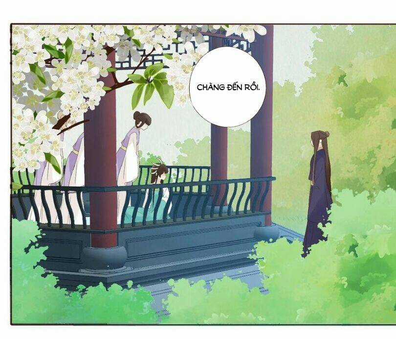 Đế Vương Trắc - Chapter 207 - Trang 43