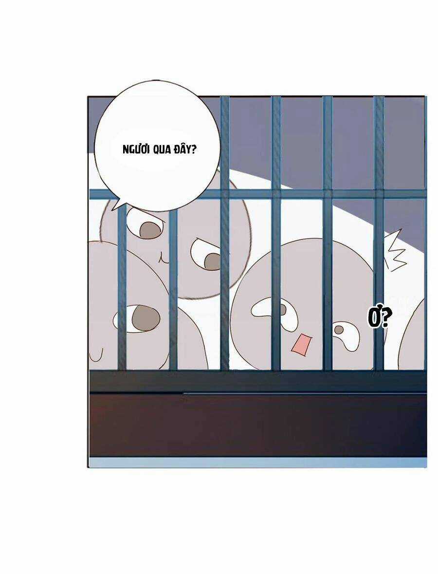 Đế Vương Trắc - Chapter 232 - Trang 35