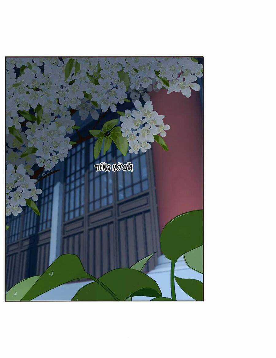 Đế Vương Trắc - Chapter 236 - Trang 43