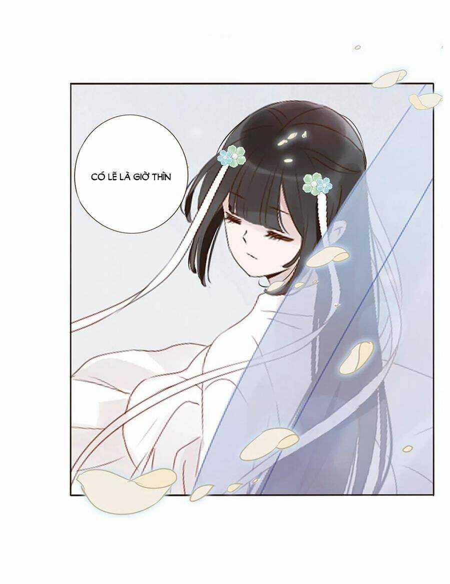 Đế Vương Trắc - Chapter 238 - Trang 11