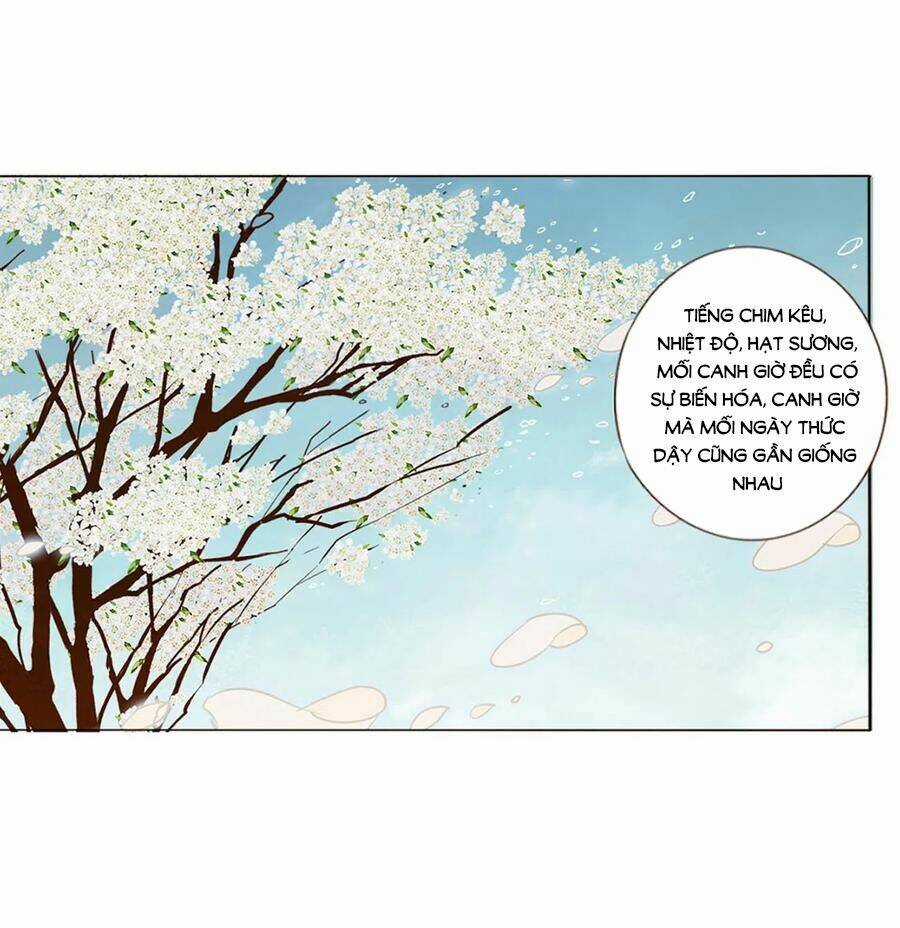 Đế Vương Trắc - Chapter 238 - Trang 14