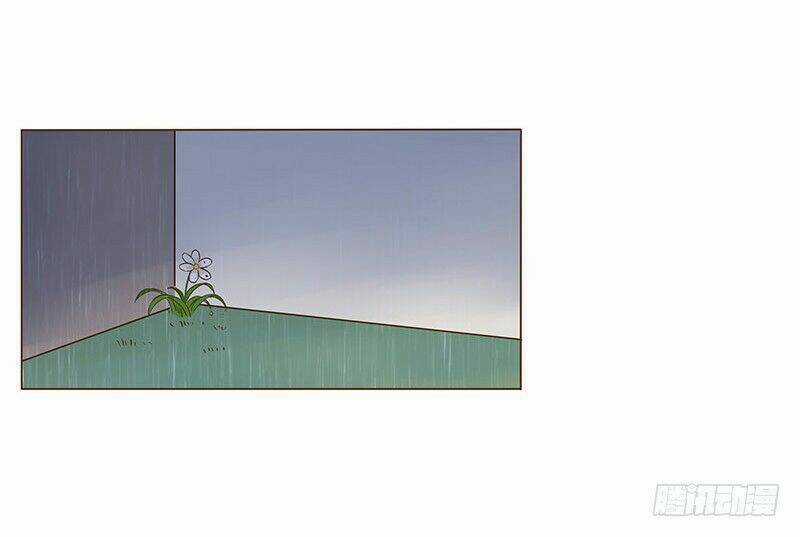 Đế Vương Trắc - Chapter 83 - Trang 5