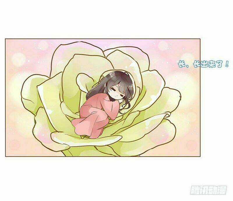 Đế Vương Trắc - Chapter 85 - Trang 65