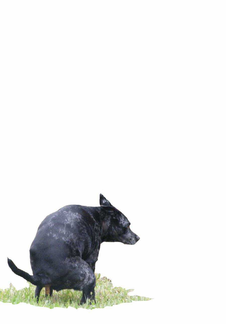 Dead Account - Chapter 28 - Trang 21