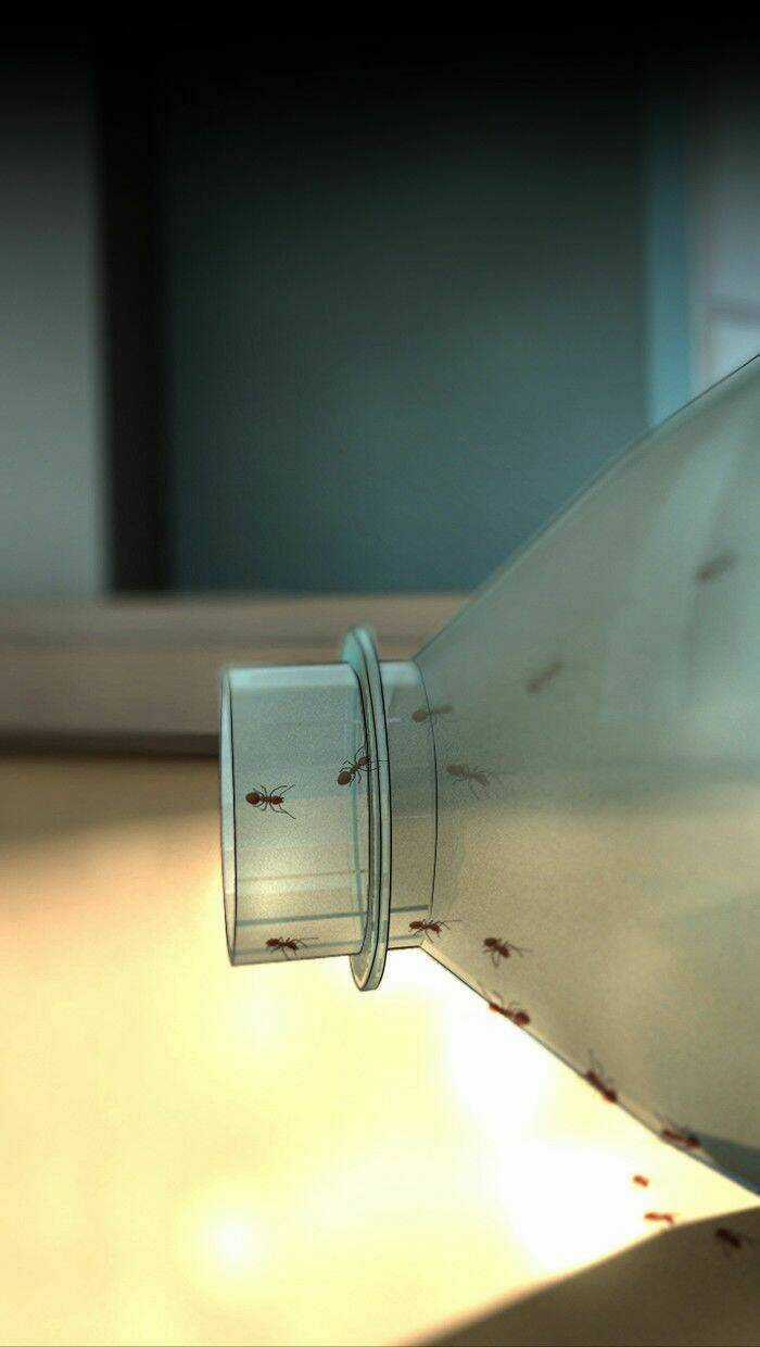 Dead Days - Chapter 4 - Trang 14