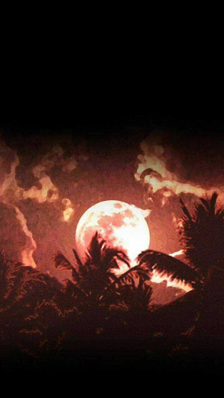 Dead Days - Chapter 53 - Trang 31