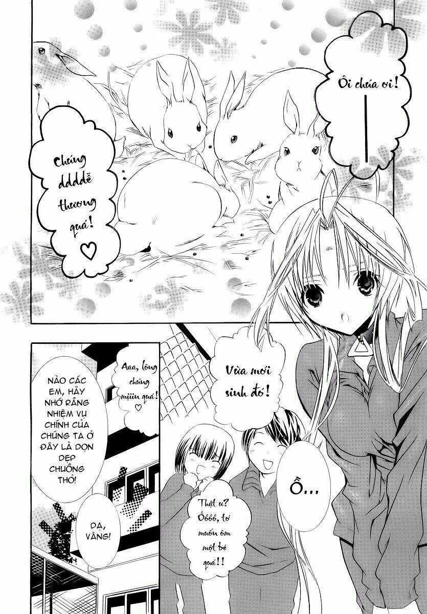 DearS - Chapter 38 - Trang 5