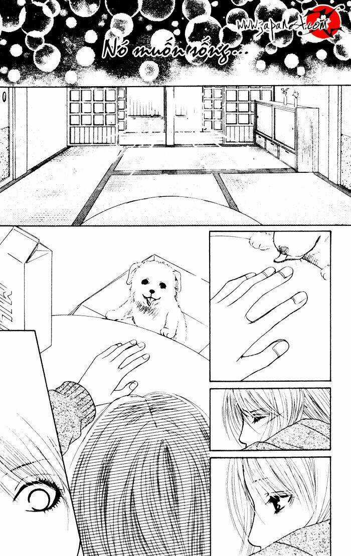 Deep Love - Ayu No Monogatari - Chapter 1 - Trang 48