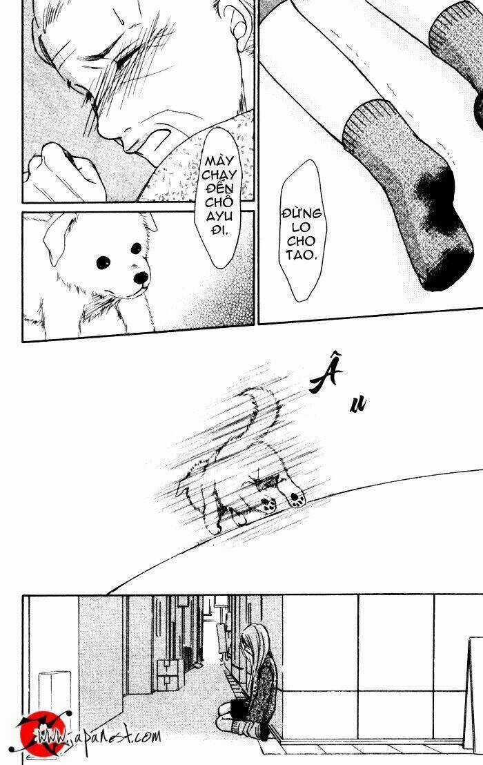 Deep Love - Ayu No Monogatari - Chapter 3 - Trang 15