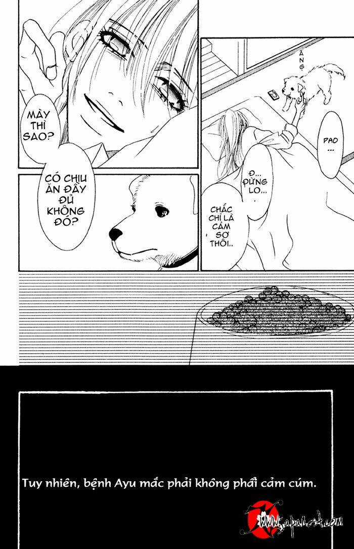 Deep Love - Ayu No Monogatari - Chapter 8 - Trang 3