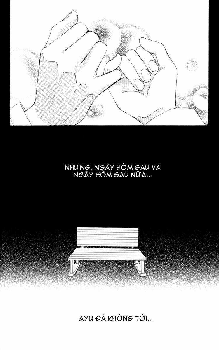 Deep Love - Host - Chapter 5 - Trang 41