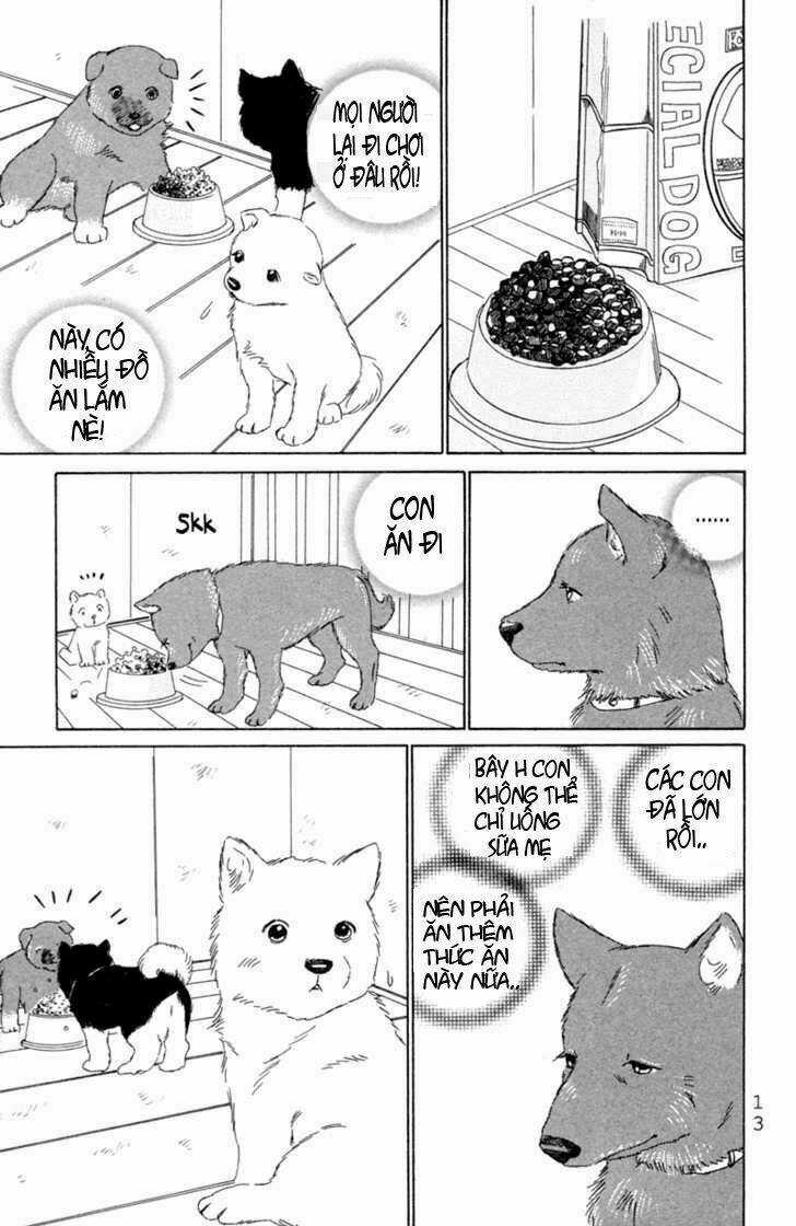 Deep Love - Pao no Monogatari - Chapter 1 - Trang 16