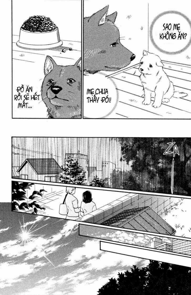 Deep Love - Pao no Monogatari - Chapter 1 - Trang 17