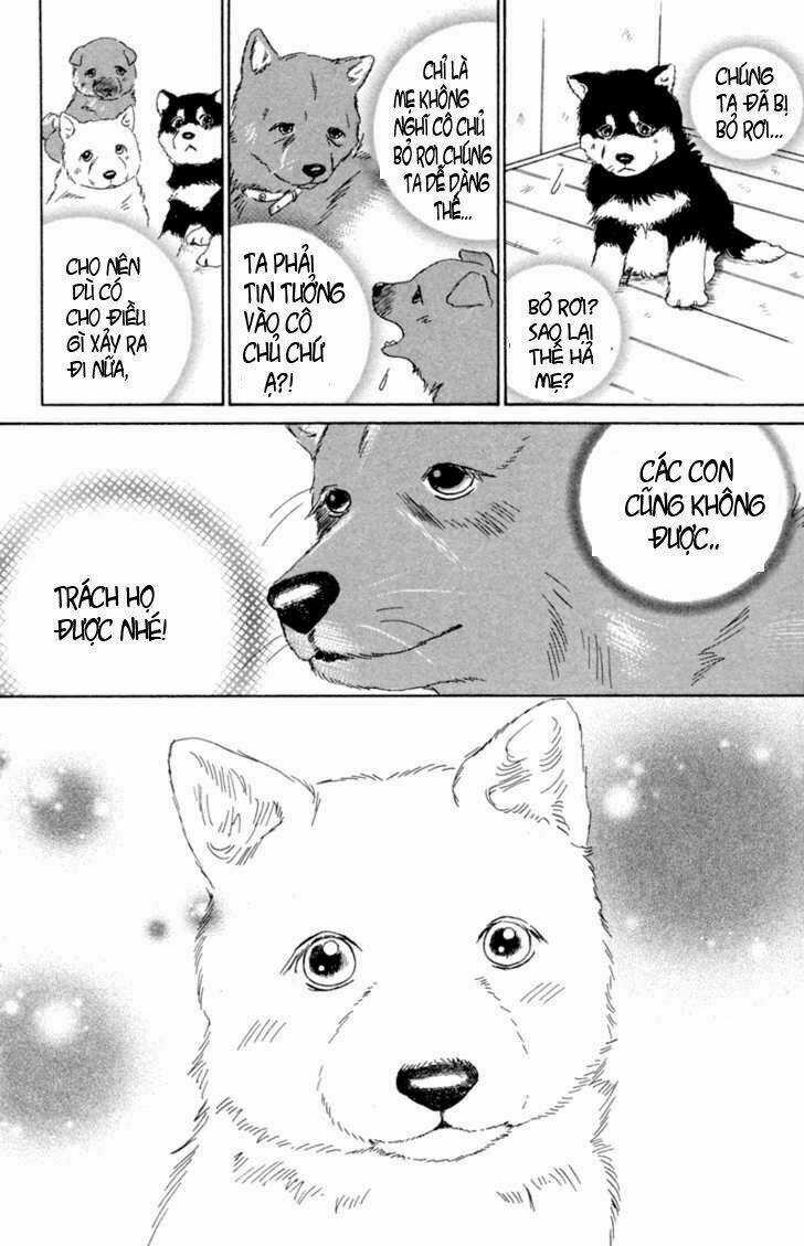 Deep Love - Pao no Monogatari - Chapter 1 - Trang 19