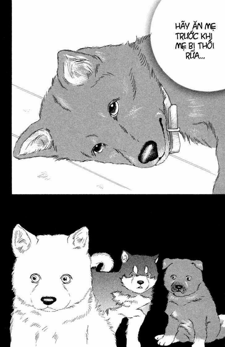 Deep Love - Pao no Monogatari - Chapter 1 - Trang 21