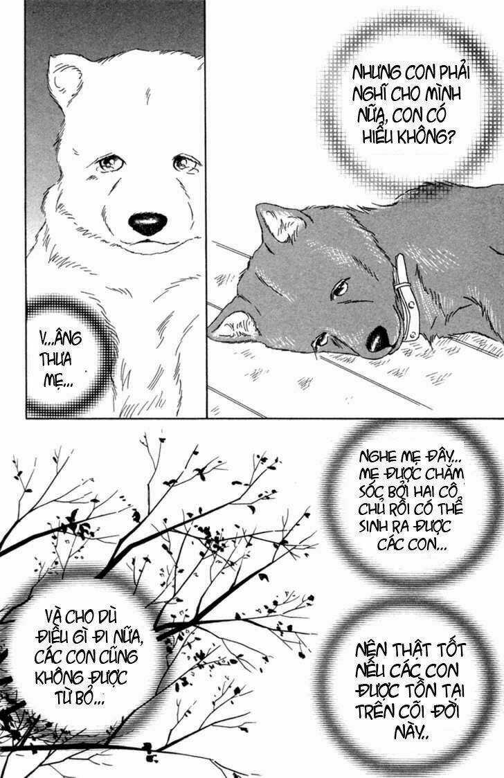 Deep Love - Pao no Monogatari - Chapter 1 - Trang 23