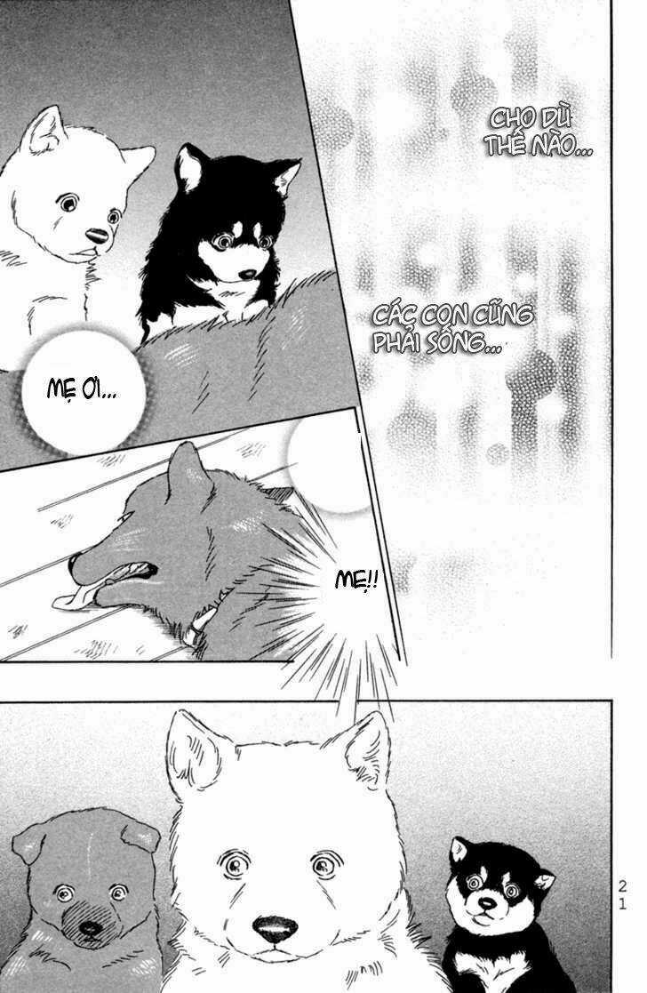 Deep Love - Pao no Monogatari - Chapter 1 - Trang 24