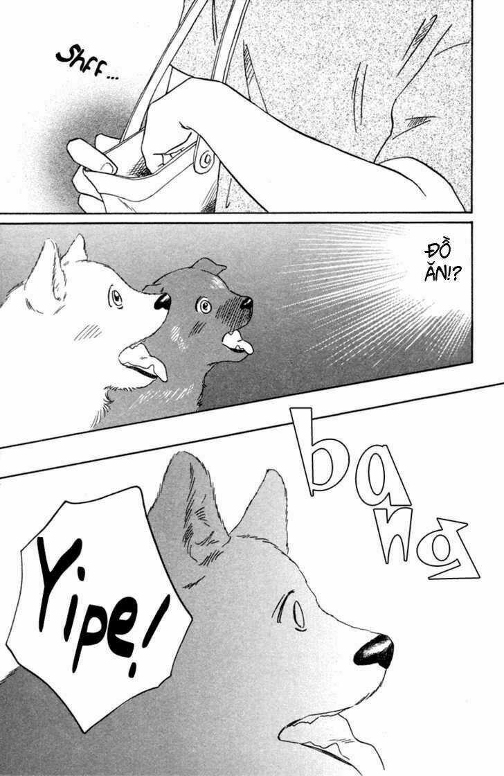 Deep Love - Pao no Monogatari - Chapter 1 - Trang 28