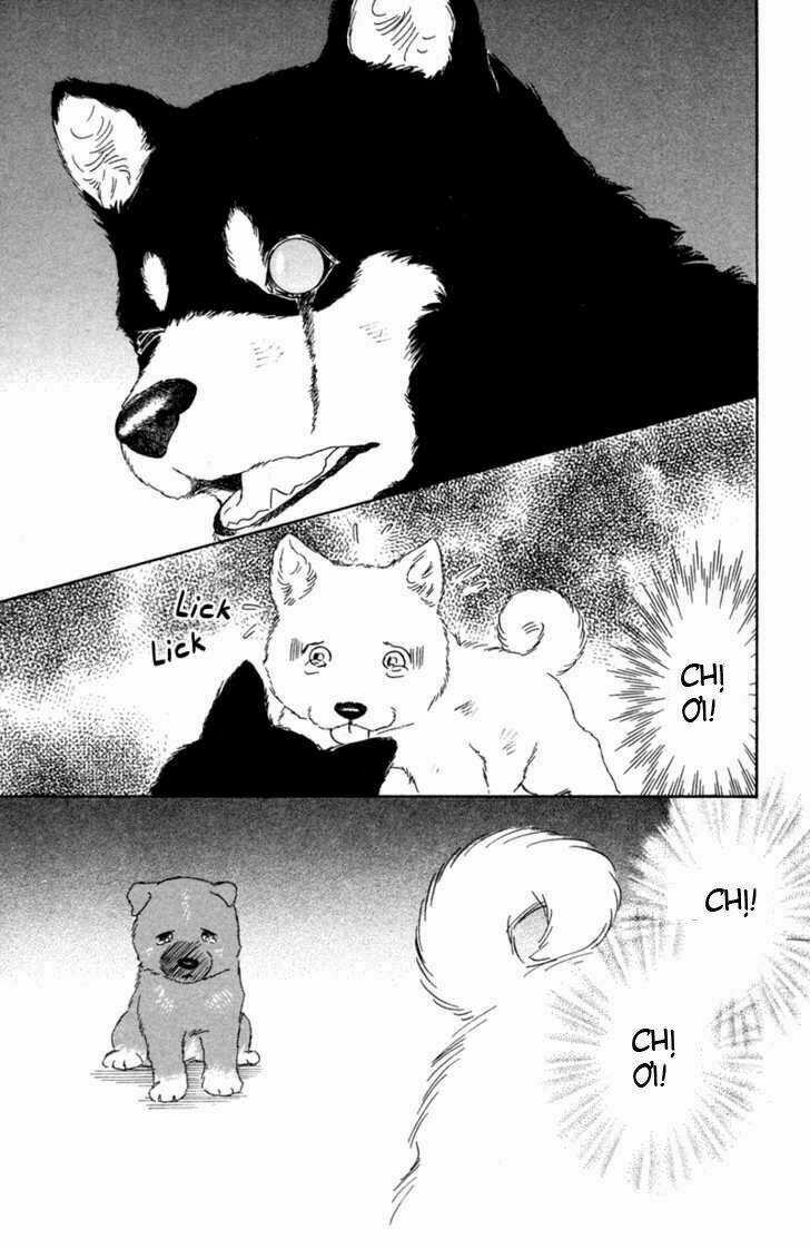 Deep Love - Pao no Monogatari - Chapter 1 - Trang 32