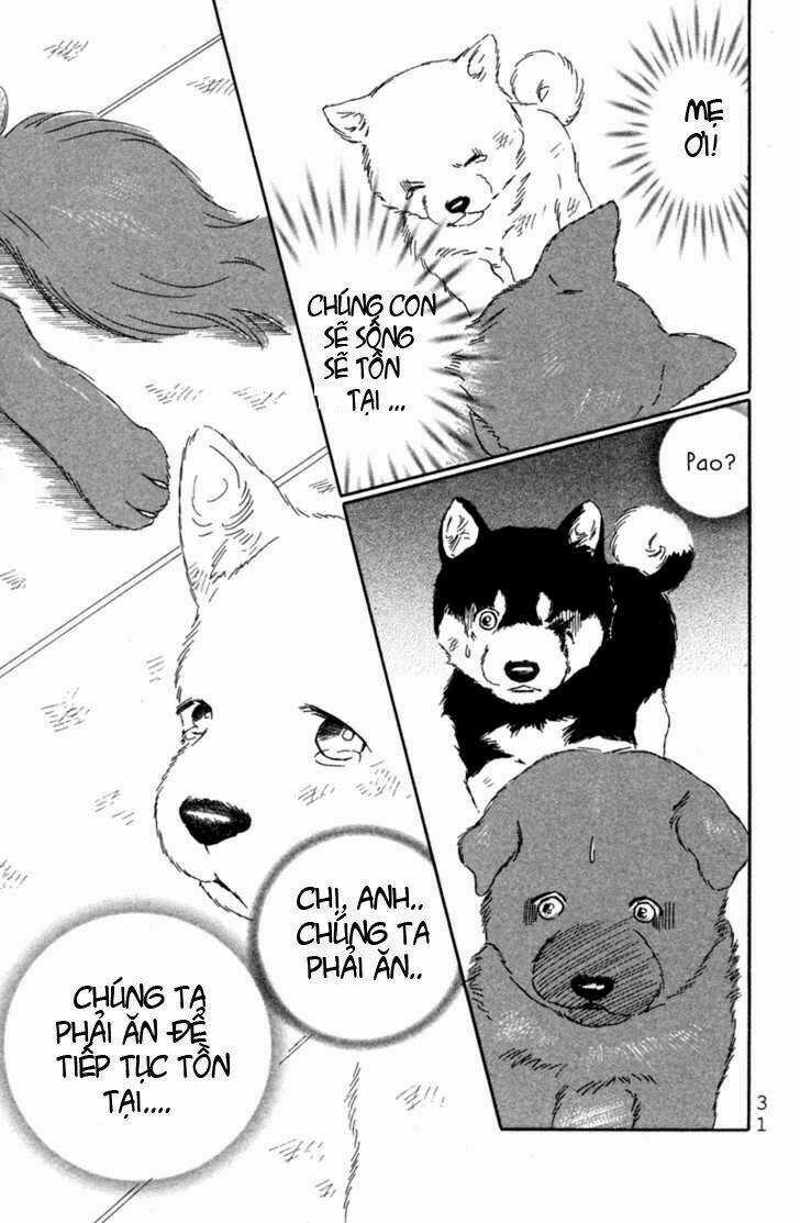 Deep Love - Pao no Monogatari - Chapter 1 - Trang 34