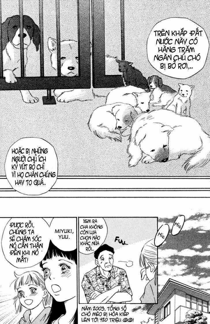 Deep Love - Pao no Monogatari - Chapter 1 - Trang 10