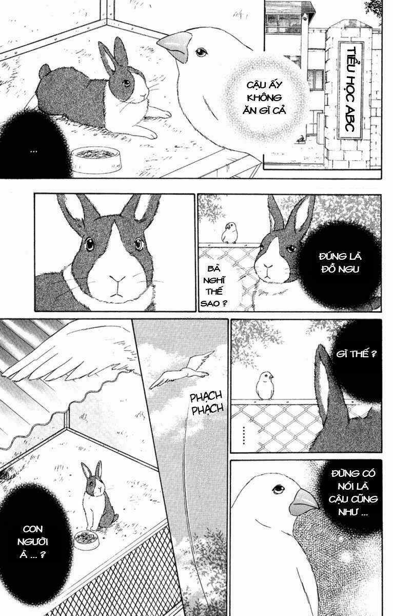 Deep Love - Pao no Monogatari - Chapter 11 - Trang 11