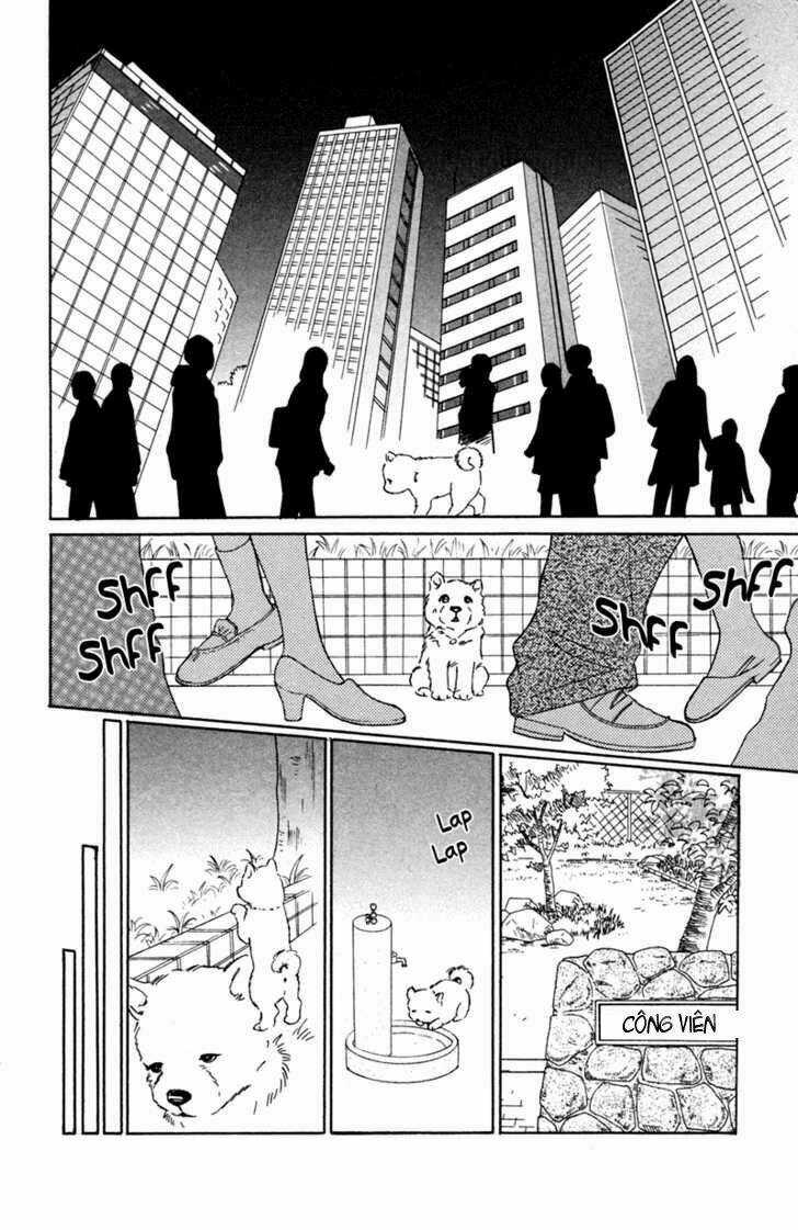 Deep Love - Pao no Monogatari - Chapter 2 - Trang 18