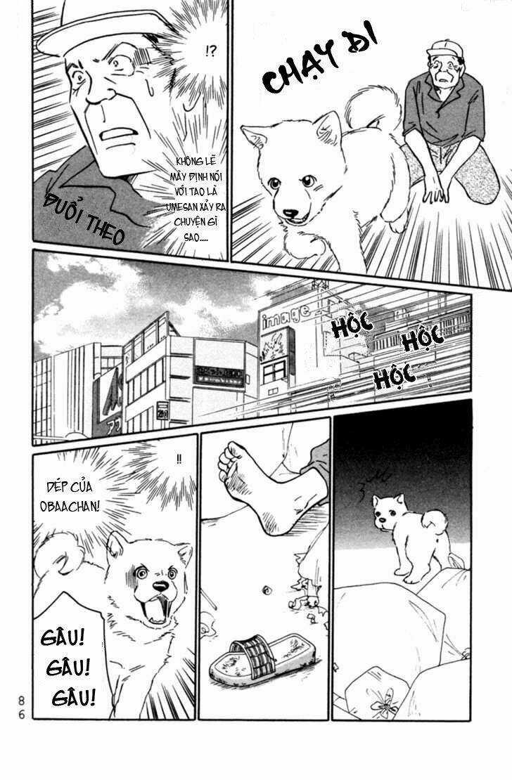 Deep Love - Pao no Monogatari - Chapter 3 - Trang 16