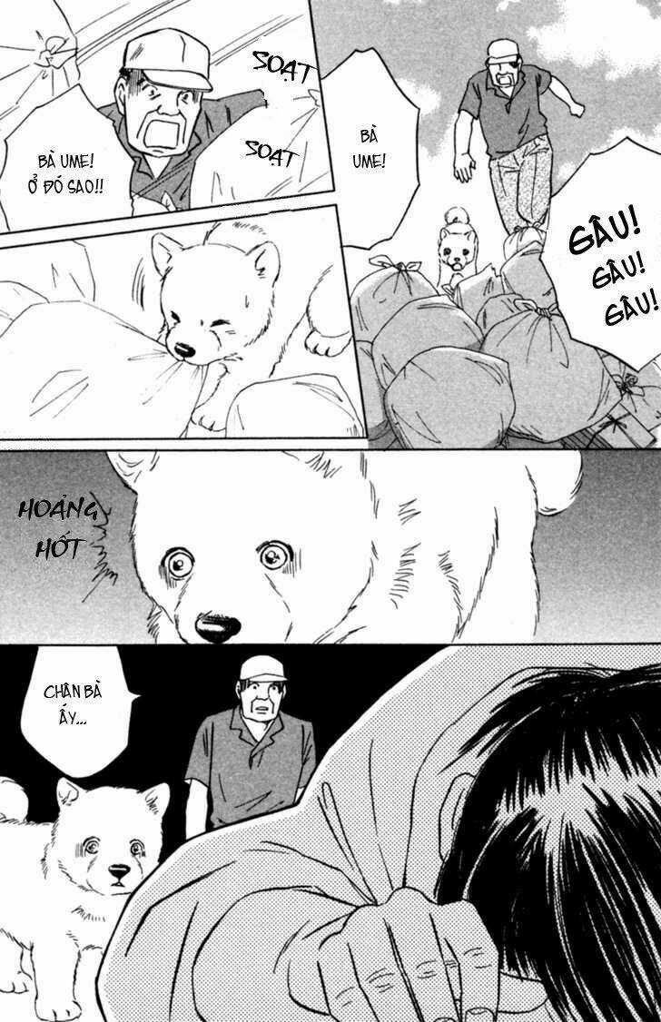 Deep Love - Pao no Monogatari - Chapter 3 - Trang 17