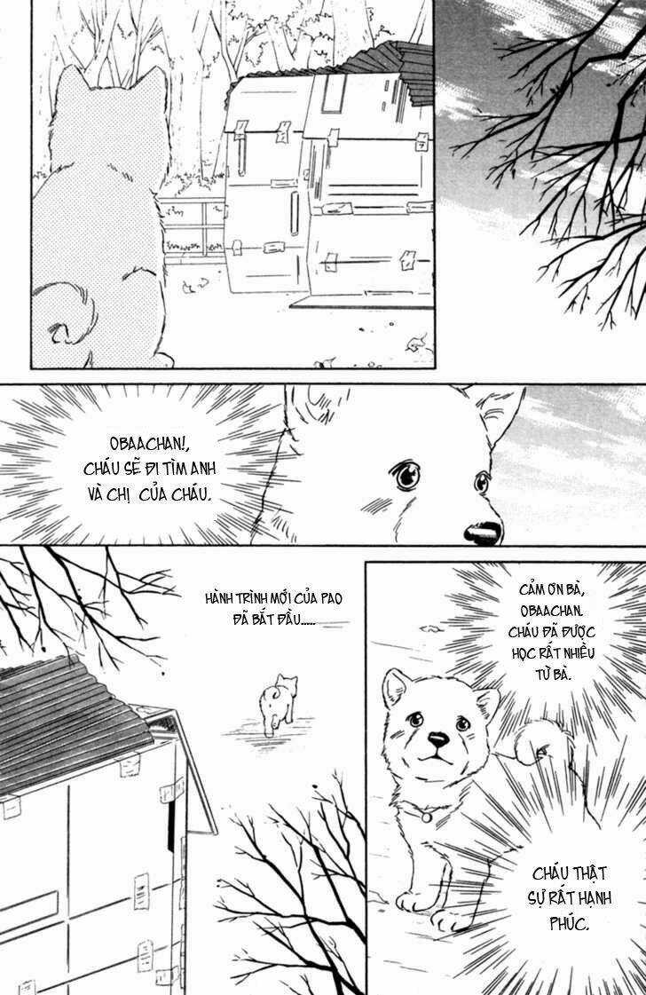 Deep Love - Pao no Monogatari - Chapter 3 - Trang 34