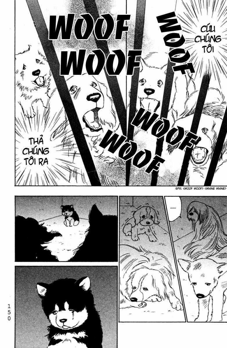 Deep Love - Pao no Monogatari - Chapter 5 - Trang 11