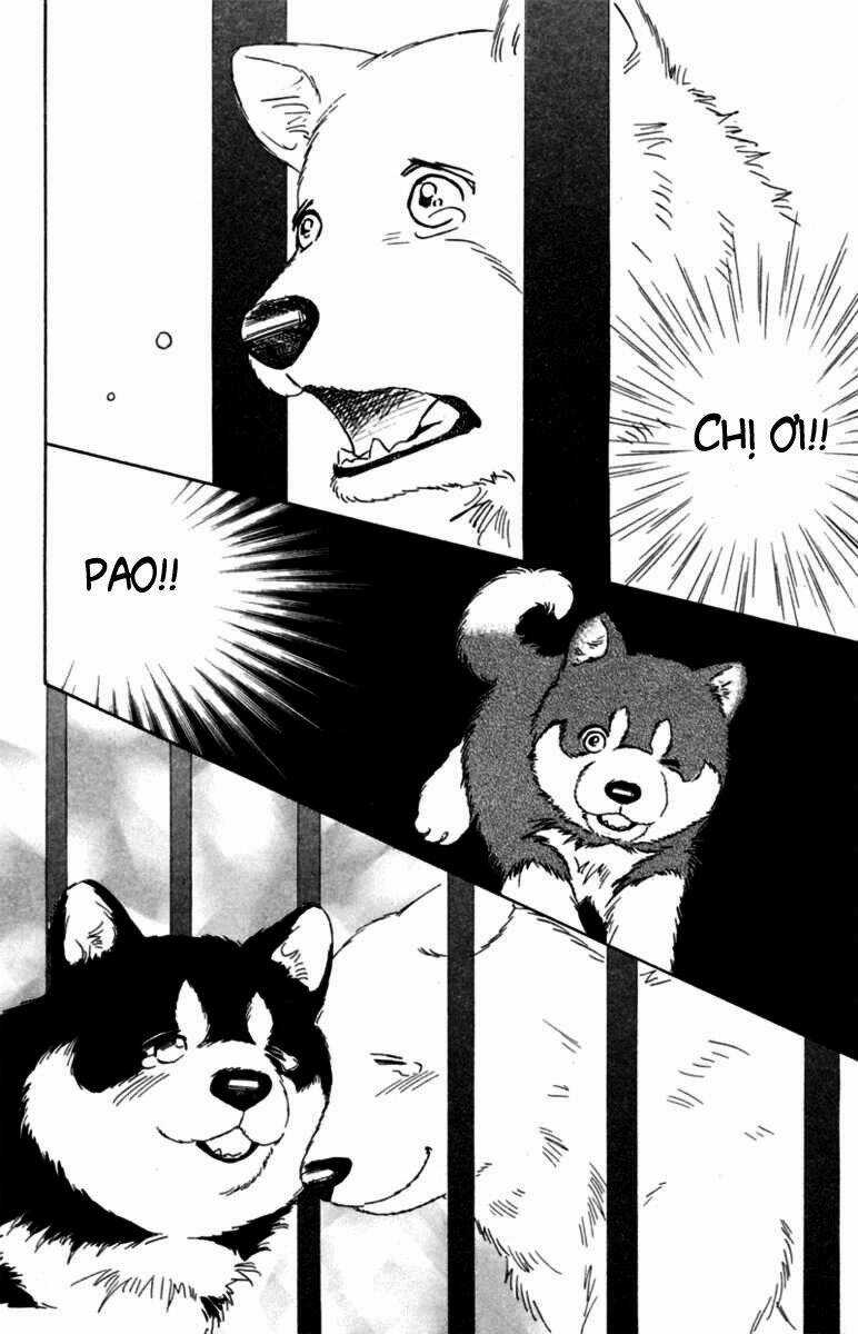 Deep Love - Pao no Monogatari - Chapter 5 - Trang 13