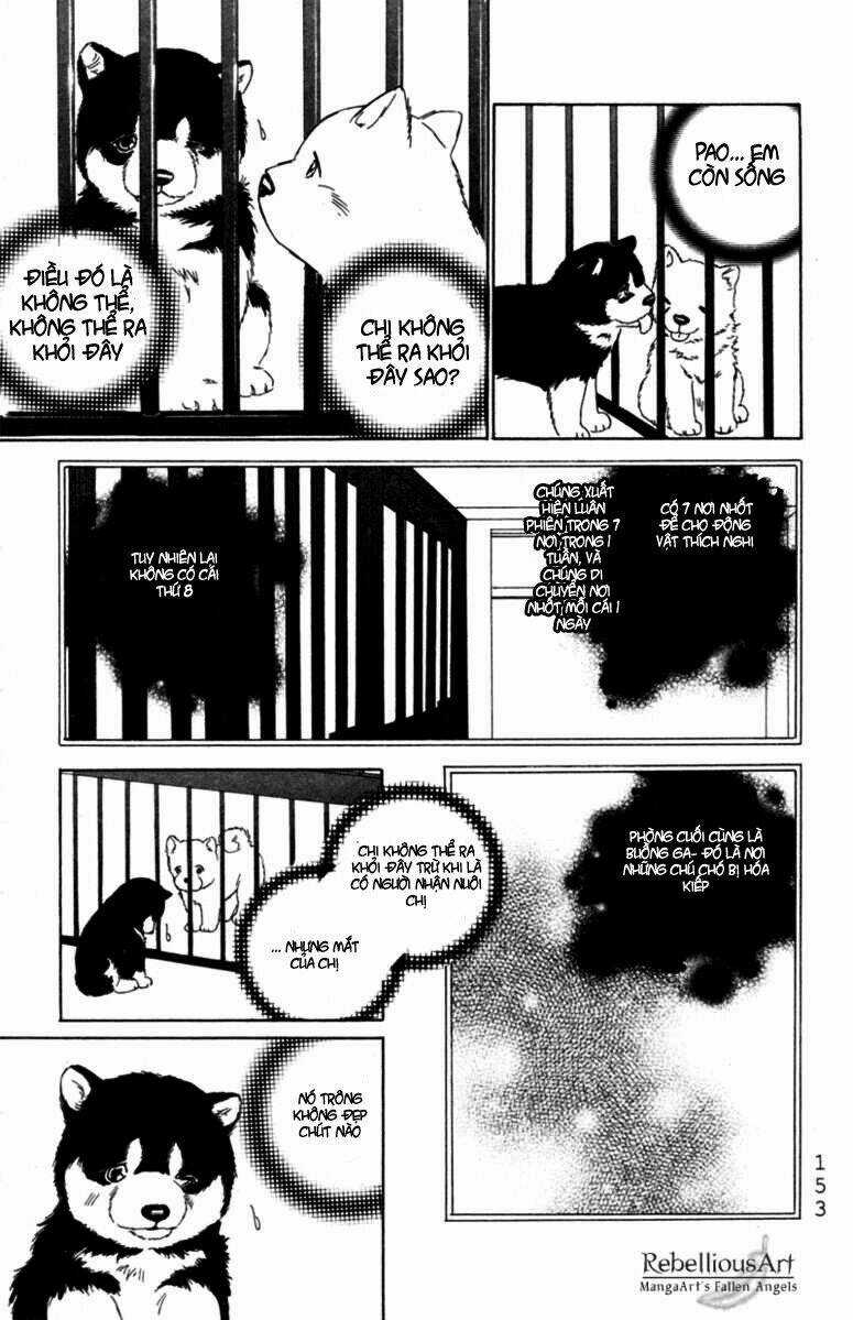 Deep Love - Pao no Monogatari - Chapter 5 - Trang 14