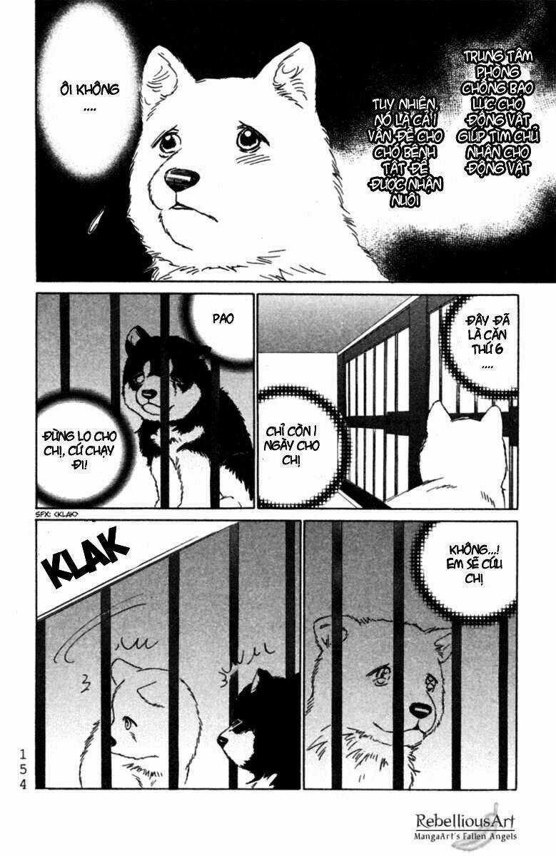 Deep Love - Pao no Monogatari - Chapter 5 - Trang 15