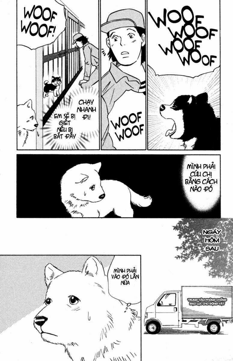 Deep Love - Pao no Monogatari - Chapter 5 - Trang 16